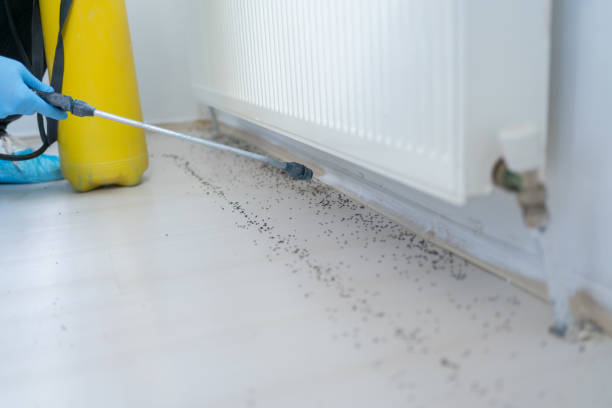 Best Pest Prevention Services  in Geva, NE